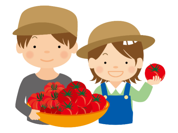 【案件番号MO】【短期4月~9月か10月迄】ハウス内でトマトの収穫等