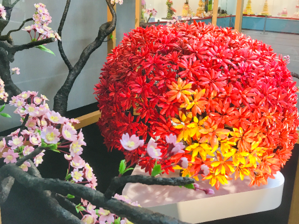 京菓子の美しさを学びたくて