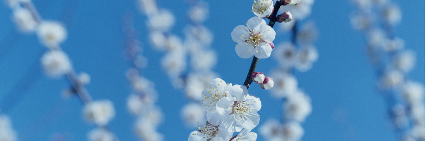 株式会社おうすの里