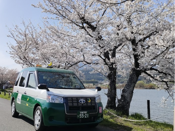 地球環境の保全に貢献します