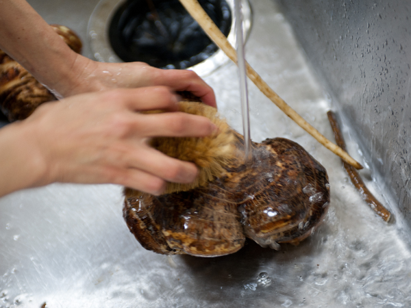丁寧に下拵えをしています。
野菜の取り扱いが多い職場です。
