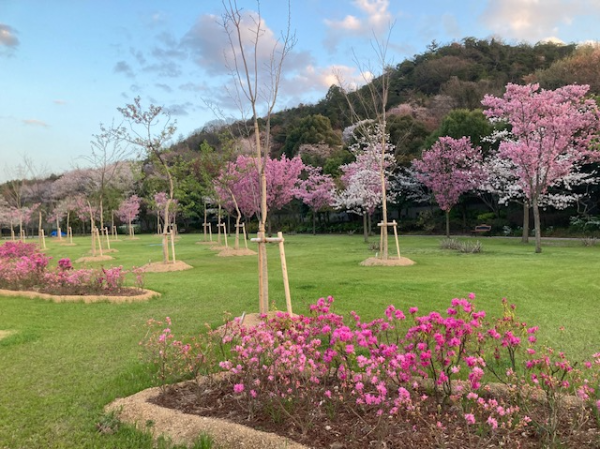 姫路　書写【庭園管理/フロア清掃/風呂掃除】★美観維持のお仕事　★シフト融通◎　★子育てや家庭との両立も可能　★週1日、1日2ｈからOK　★平日のみ、休日のみOK　★正社員登用あり　★WワークOK　★シニア歓迎＆応援