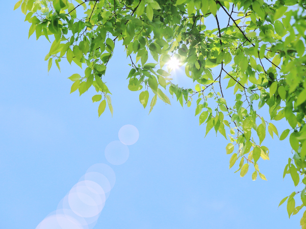 私たちについて