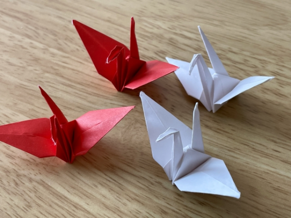 制度・環境・文化