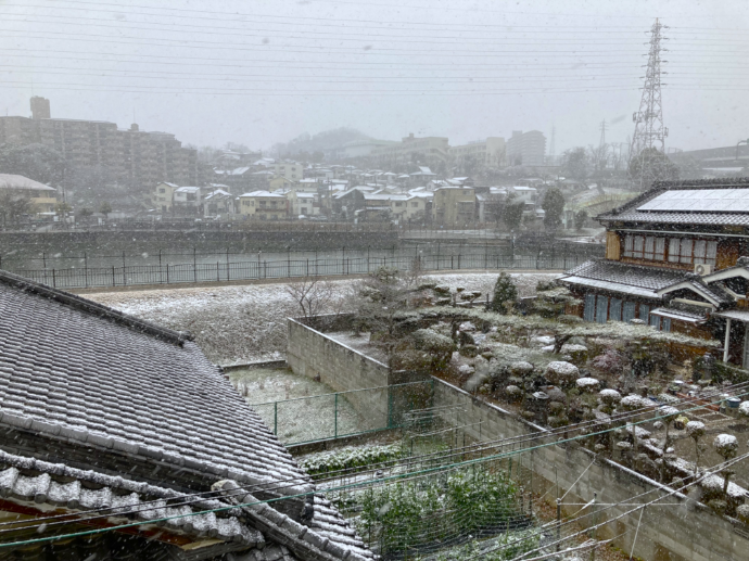 【ナチュラル高槻安満】雪景色の中の運動