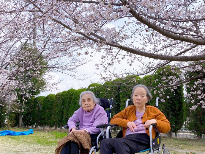 【ナチュラル高槻安満】お花見レク🌸