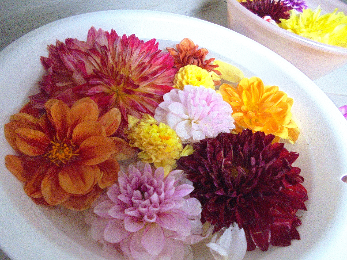 【ザ・テラス学園富雄】 玄関で癒しの花アート❀花手水❀