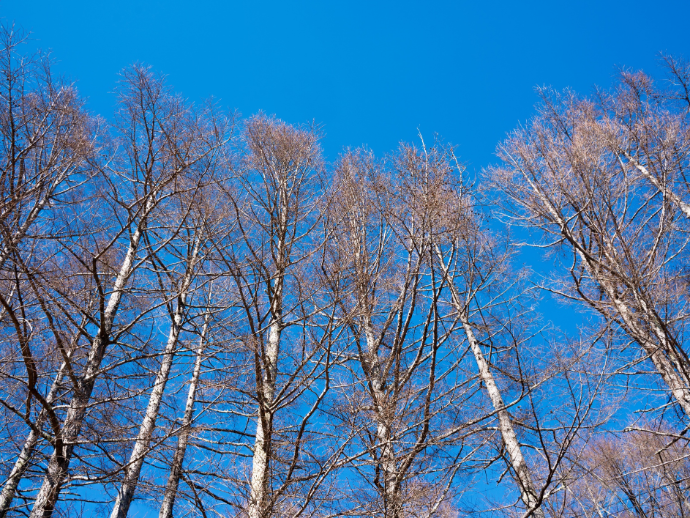 【グループホームナチュラル】寒さに負けず、ホームでゆったり運動