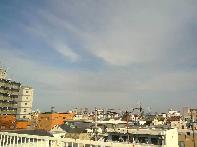 【ナチュラル林寺】何気ない日常