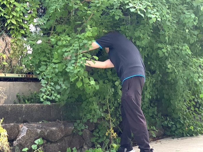 【ザ・テラス学園富雄】施設周辺の草刈りを行いました🌿