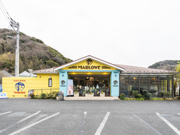 入社までの経緯を教えてください。