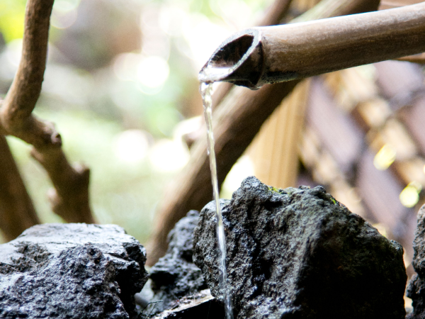 私たちについて