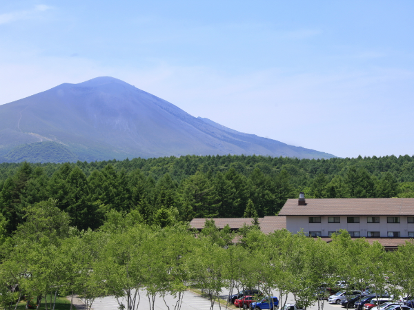 社員インタビュー