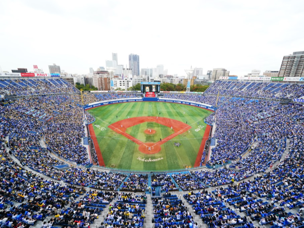 【2026年シーズン】横浜スタジアム特別個室の調理サポート業務