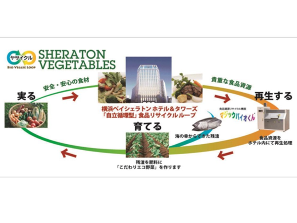 食品ロス削減・地産地消への取り組み「ヤサイクル」。