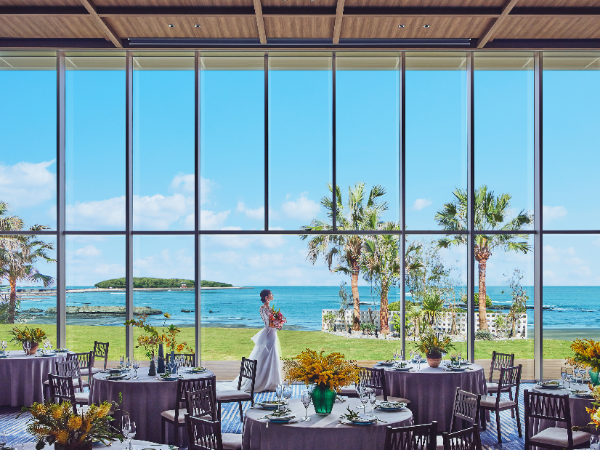 ノバレーゼというフィールドで、暴れてください。