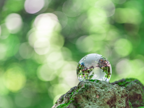 環境への対応は「21世紀の最重要課題」