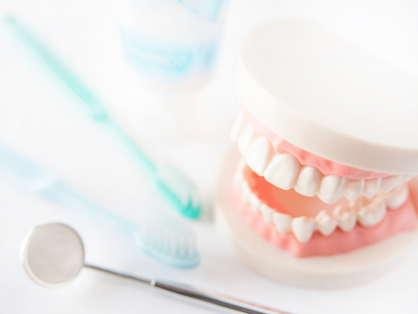 歯科医療をトータルにプロデュース。