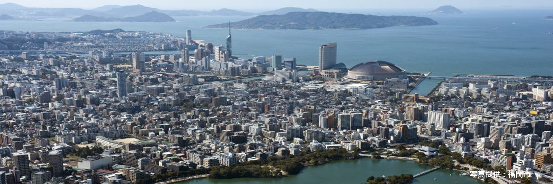 大成管理開発株式会社