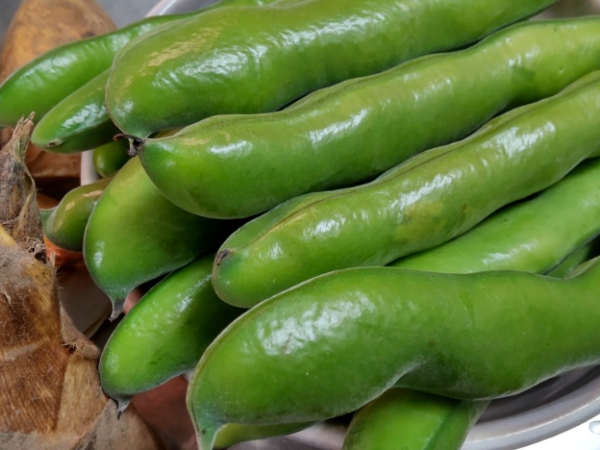 Q．日々の仕事内容を教えてください！