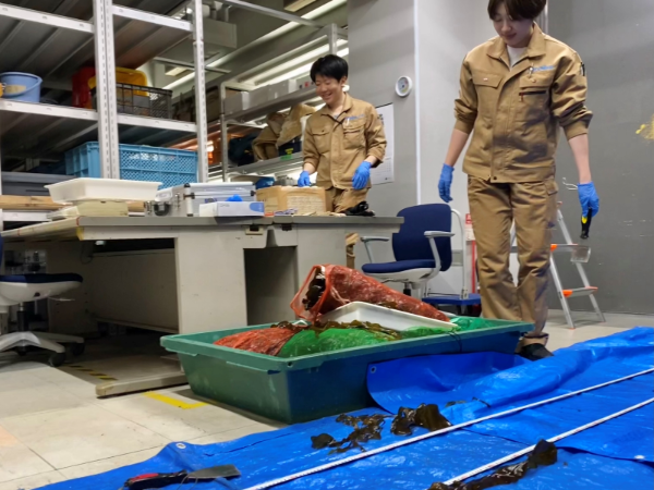 制度活用でいきいきと