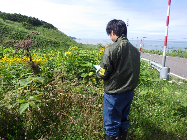 入社のきっかけ