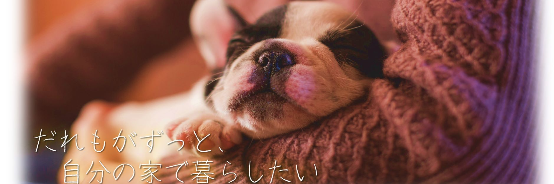 セントケア山梨株式会社