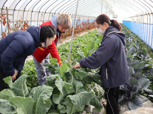 4店舗をマネジャーとしてサポート