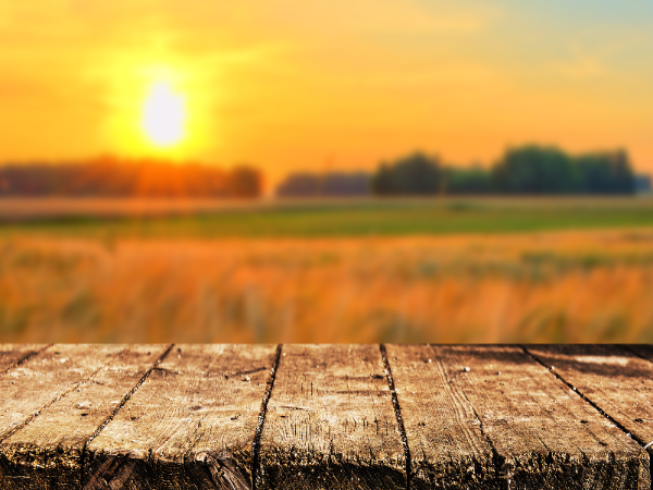 ダディーズベーカリー採用サイトへようこそ!