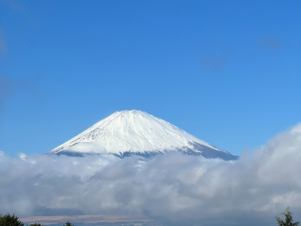 人生はロールプレイングゲーム！
