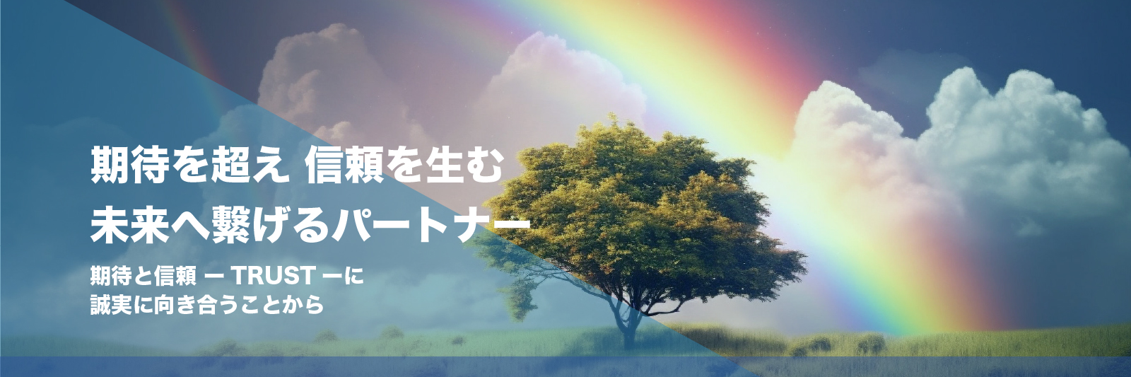 MK-TRUST株式会社