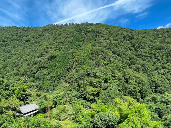 お喜びの声がうれしい、やりがいのある仕事です