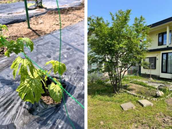 暮らしに、余白が生まれる