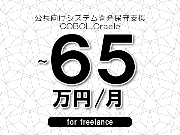 【50～65万円／フリーランス】＜COBOL,Oracle/公共向けシステム開発保守支援＞◆完全週休2日制　◆年間休日120日以上　◆出張費用別途支給