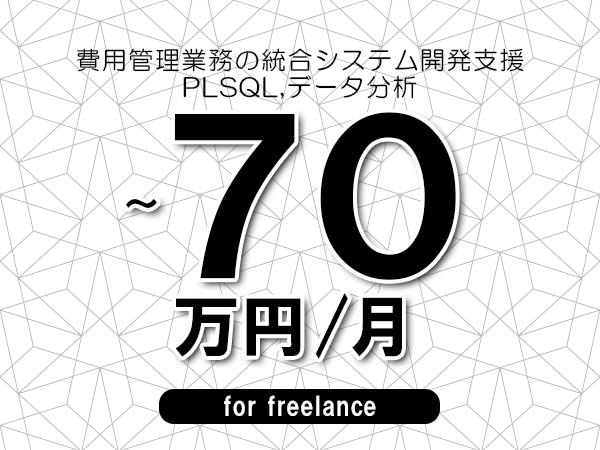 【60～70万円／フリーランス】＜PLSQL,データ分析/費用管理業務の統合システム開発支援＞◆完全週休2日制　◆年間休日120日以上　◆出張費用別途支給