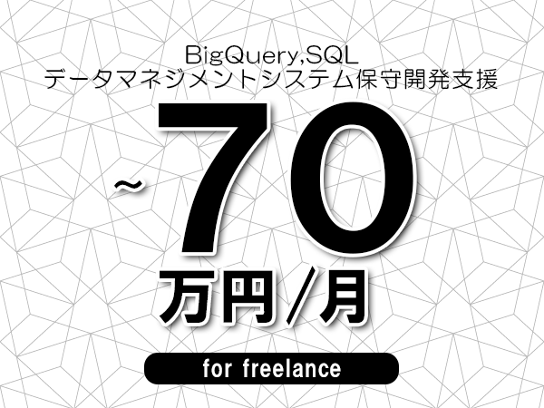 【 53~70万円/フリーランス】<BigQuery,SQL│データマネジメントシステム保守開発支援>◆完全週休2日制 ◆年間休日120日以上 ◆出張費用別途支給