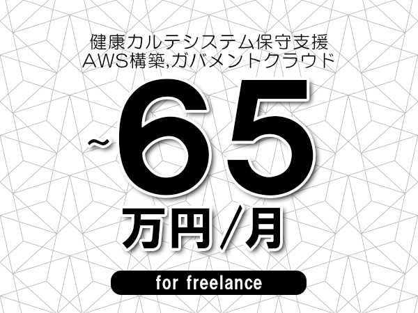 【55～65万円／フリーランス】＜AWS構築,ガバメントクラウド/健康カルテシステム保守支援＞◆完全週休2日制　◆年間休日120日以上　◆出張費用別途支給