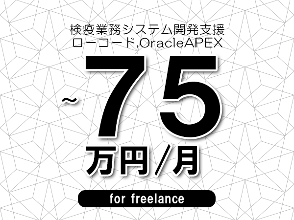 【65～75万円／フリーランス】＜ローコード,OracleAPEX/検疫業務システム開発支援＞◆完全週休2日制　◆年間休日120日以上　◆出張費用別途支給
