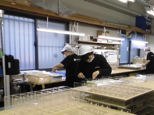 だんだん出来上がっていくのがうれしい