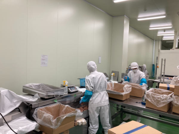 私たちについて