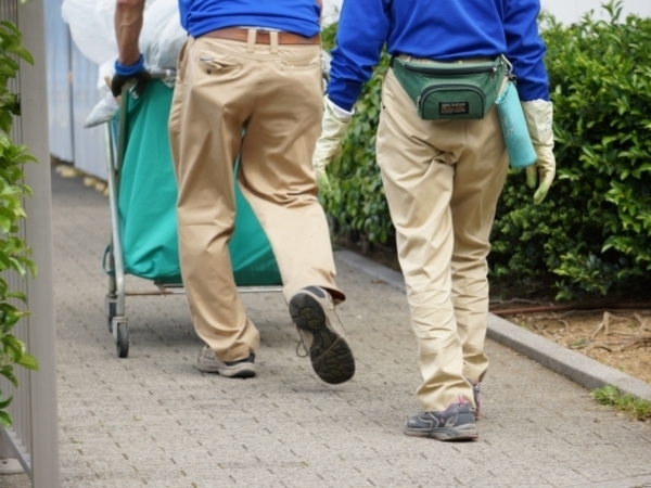 写真はイメージです