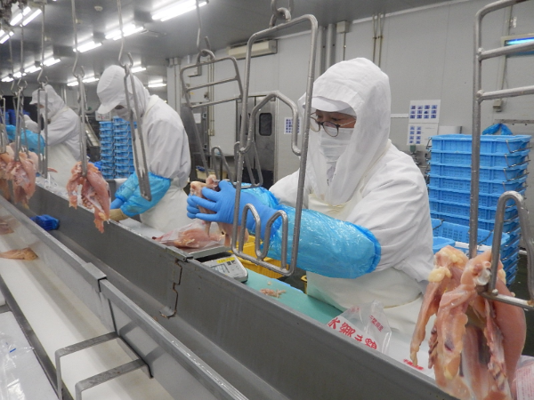 制度・環境・文化