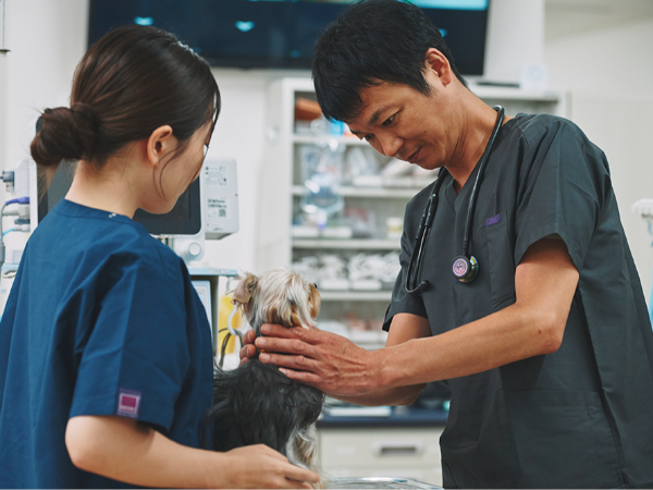 【動物看護師/正社員】完全週休2日制&シフト制 / 賞与年2回&昇給年1回 / 残業ほぼなし / 福利厚生&研修や成長のサポート充実 / 子育て中の女性も多く活躍中 / 一生モノの専門スキルが身につく◎