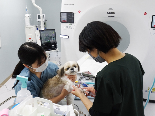 真面目でがんばり屋、動物大好きなスタッフが活躍しています