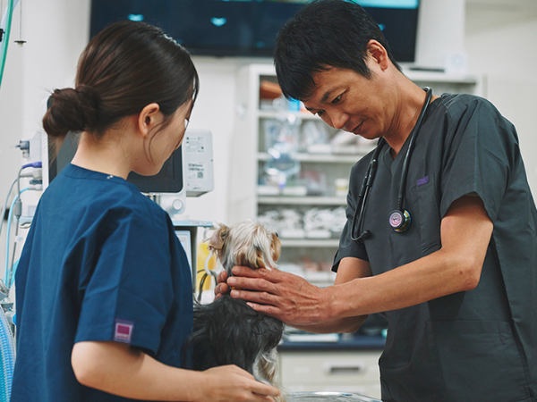 一緒にがんばりましょう！