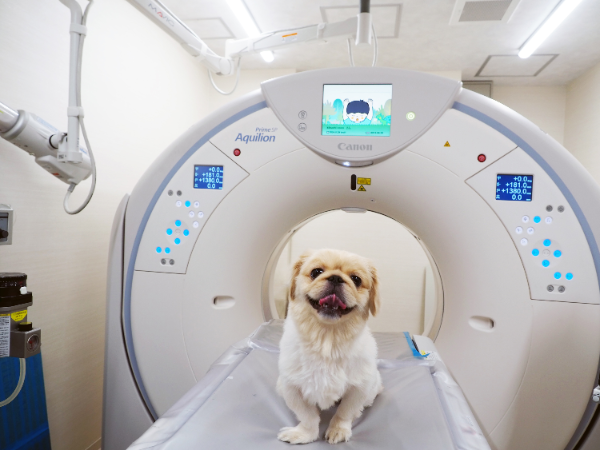 犬や猫をメインに、エキゾチックペット
にも対応しています。