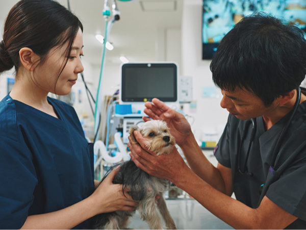 【動物看護師/正社員】完全週休2日制&シフト制 / 賞与年2回&昇給年1回 / 残業ほぼなし / 福利厚生&研修や成長のサポート充実 / 子育て中の女性も多く活躍中 / 一生モノの専門スキルが身につく◎