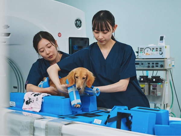 チームメンバーと協力して
検査を行っています。