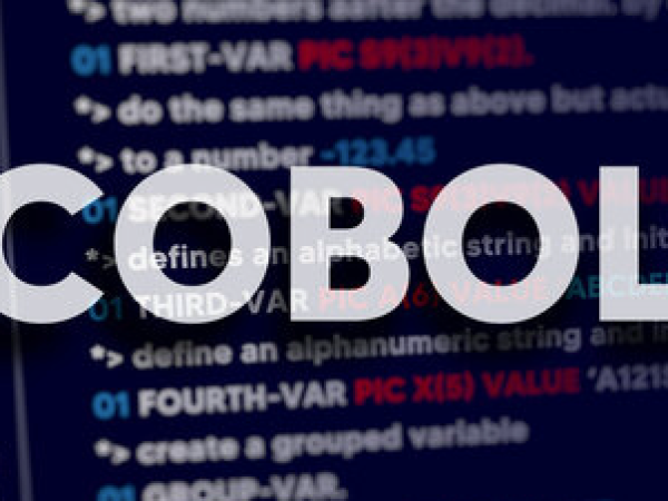 金融機関向け基幹システムにおける保守開発（ COBOL）