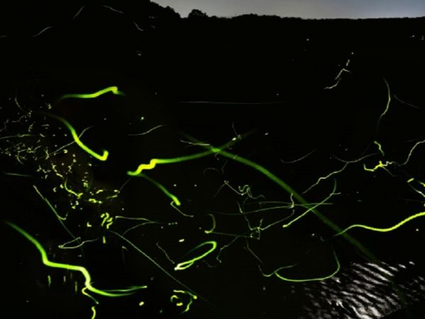 人と自然にやさしい企業へ